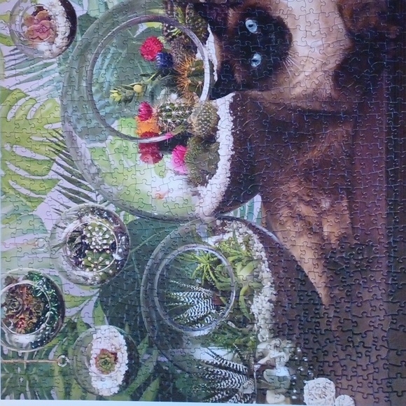 🧩Terrarium Cat 1000 piece puzzle - Picture 5 of 6
